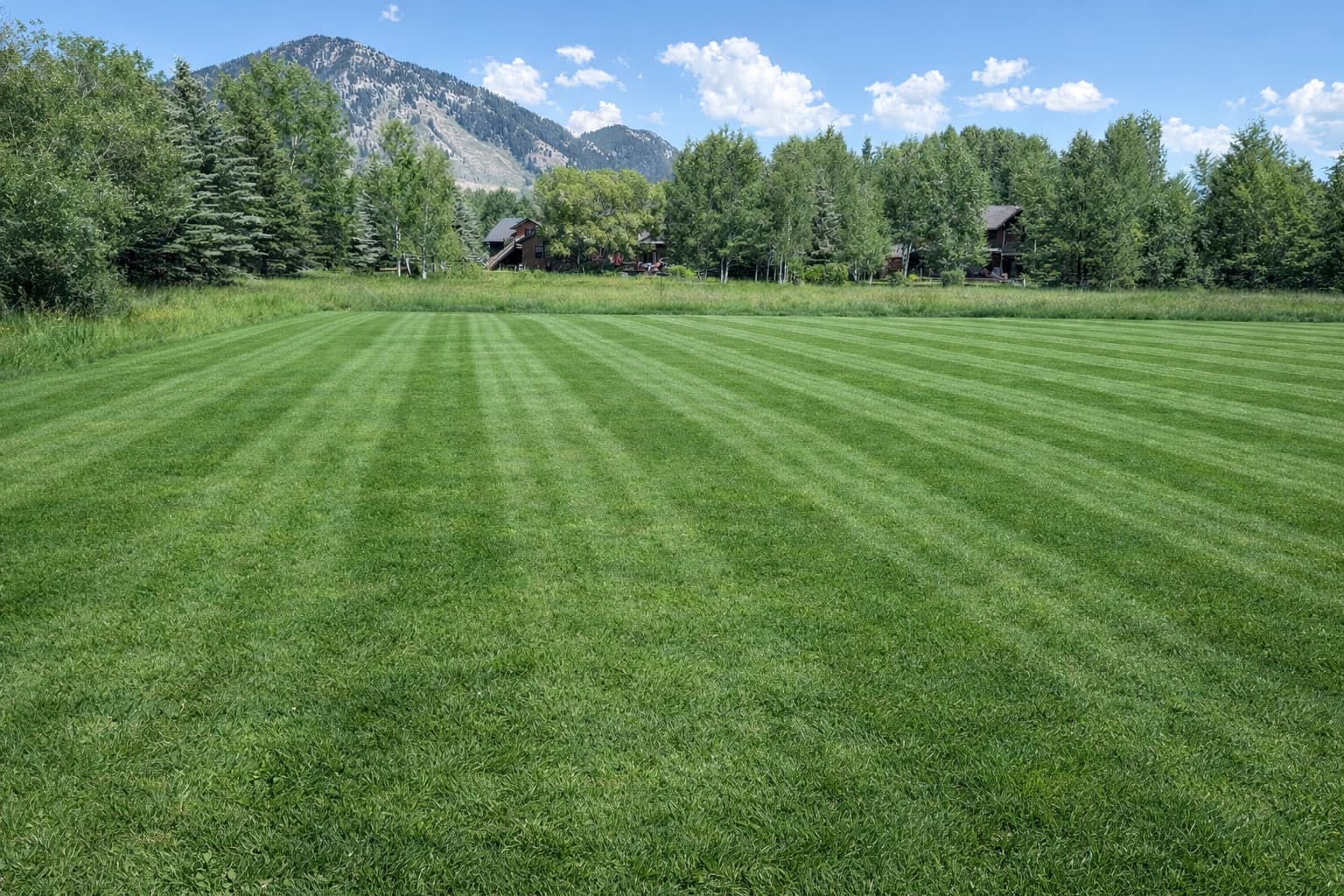 Freshly striped lawn on a Jackson Hole property with the mountains behind