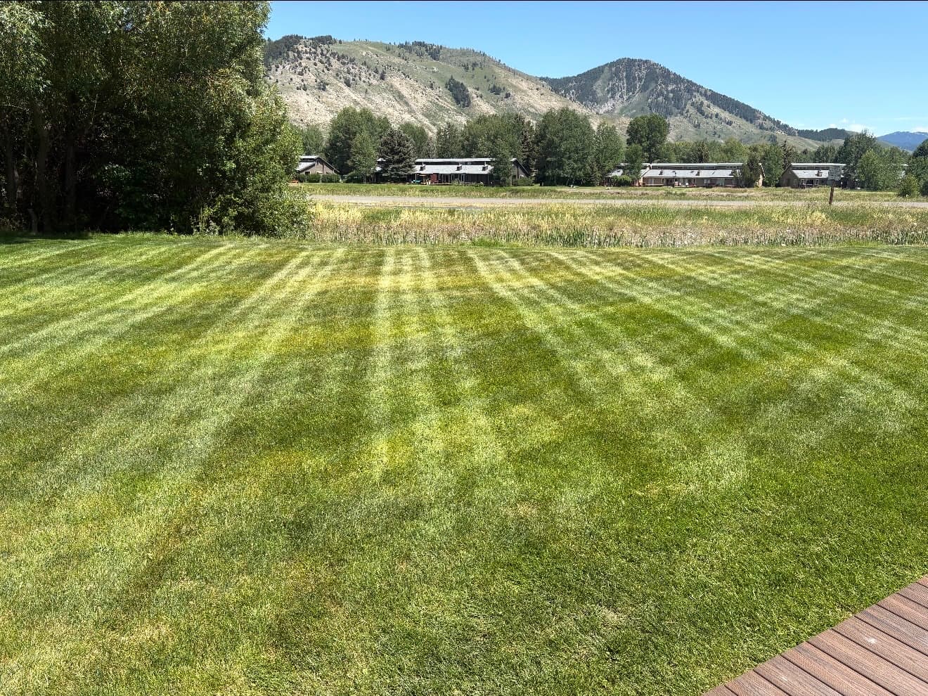 Striped lawn maintained by Stradley Landscape with Jackson Hole hills behind
